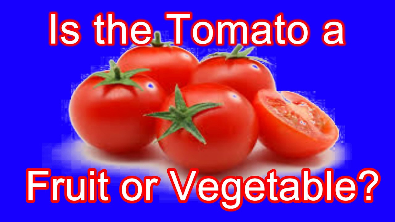 Tomatoes транскрипция. Is Tomato a Fruit. Tomatoes are Fruit. Tomatoes is Fruit not Vegetables. Ыquaыh a Tomato.
